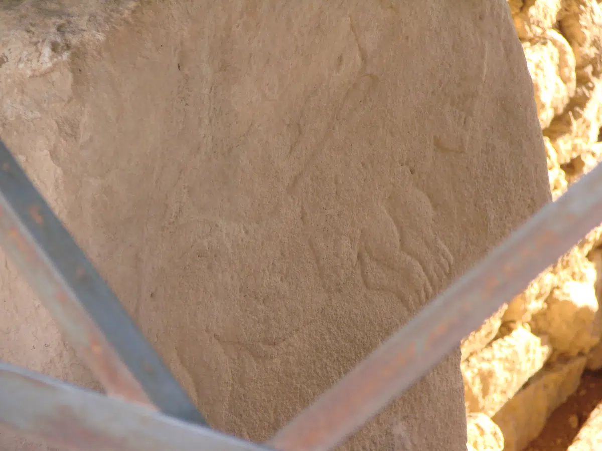 A feline relief carved on a Göbekli Tepe pillar.