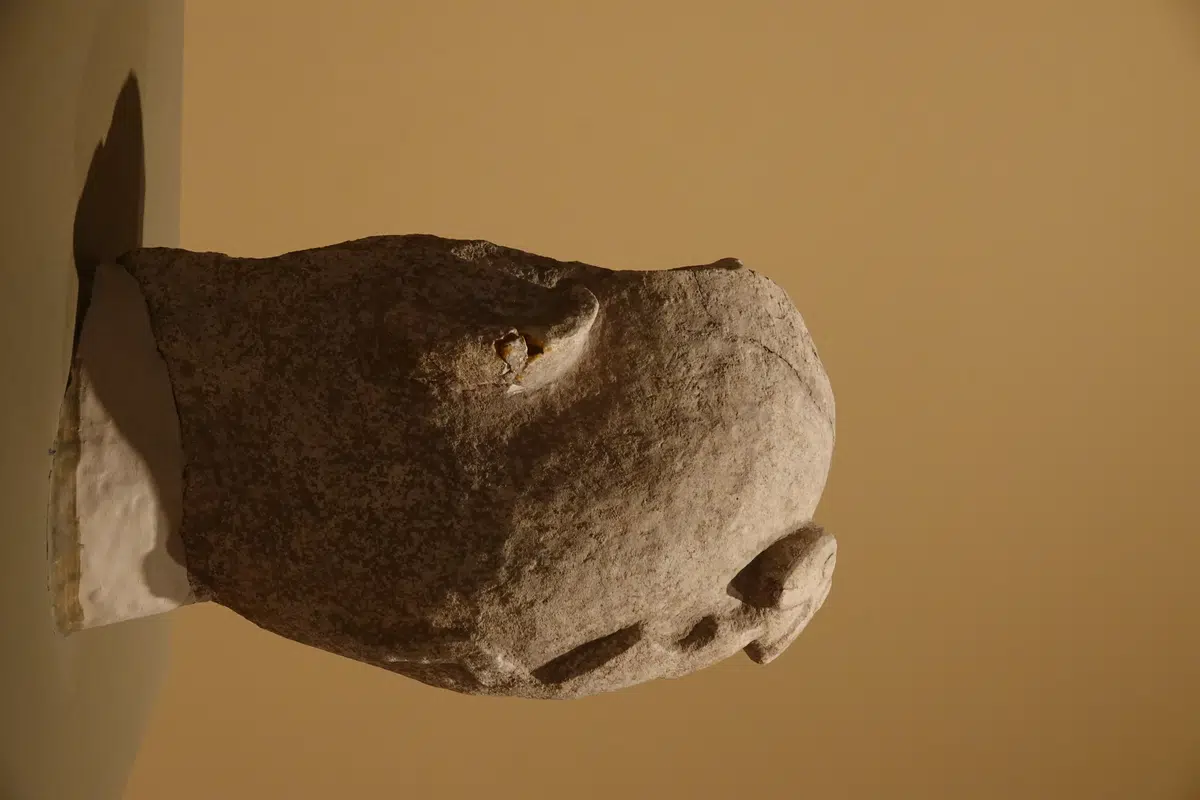 A Nevalı Çori carved head with a snake motif, displayed in the museum.