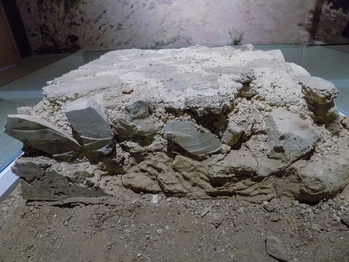 A close view of a pale, irregular stone terrazzo floor display.