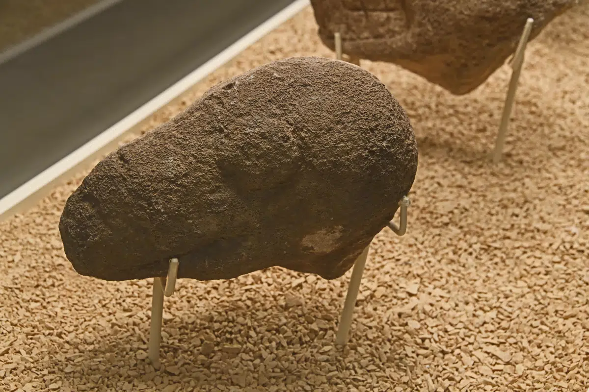 A small animal statuette from Göbekli Tepe in the Şanlıurfa Archaeology Museum.