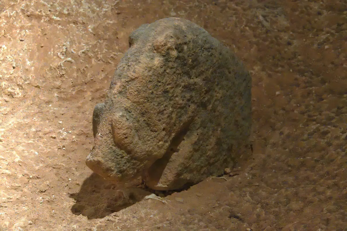 A carved wild boar figure displayed on a low plinth in the Şanlıurfa Archaeology Museum.