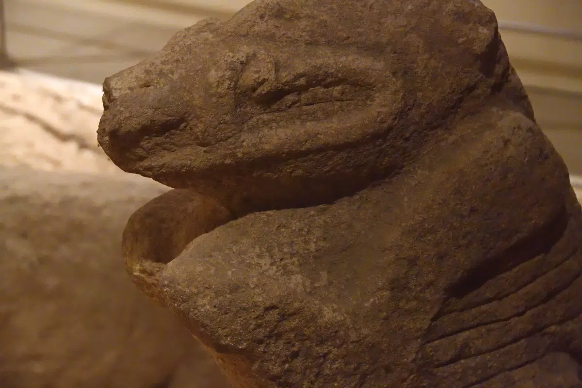 A carved wild boar figure displayed on a low plinth in the Şanlıurfa Archaeology Museum.